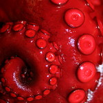 Red Spiral