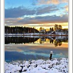 My dear Flickr friends!