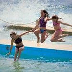 Dee Why Pool- Frends