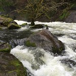 Lake Creek Falls Watchable Wildlife & Recreation Site