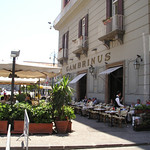 gambrinus
