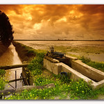 Under a threatening sky