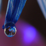 Crystal Blue Persuasion