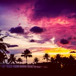 Destination: paradise