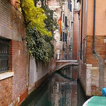 Backwater, Venice
