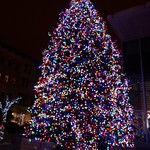 Downtown Grand Rapids Christmas tree sparkles