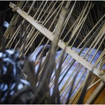 Trunyan village cemetery, Lake Batur, Bali