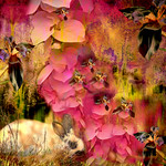 ...down the bunny trail...