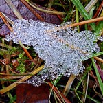 Frozen Snow Lying In The Ditch