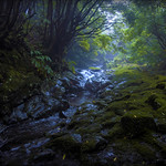 those days when we used to flee the cold