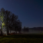 B&auml;ume bei Nacht und Nebel