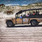 Wild Horse Adventure Tours in North Carolina's Outer Banks