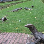 Iguanans