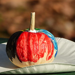 Pumpkin season, kid-style