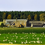 Greenford Farm Arbirlot