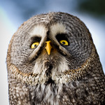 M'estas dient gamar&uacute;s? / Are you talkin' to me?