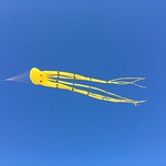 Flying Kite
