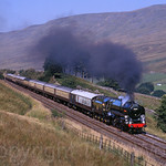 70000 Angrholm 070991 img1355-0791my-a