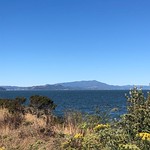 Mt. Tam, from ....