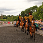 Royal Horse Artillery Ride IV
