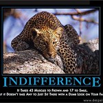 Indifference