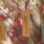 Kung Hei Fat Choy 恭喜發財