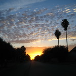 Flickrites, Good Morning_3436