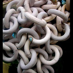 Magic Garden: Philly