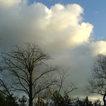 explicitly mentioned