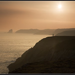Pembrokeshire April 2007 (4) : towards Skomer