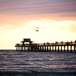 Naples Pier Sunset