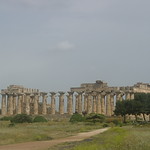 Selinunte#42