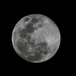 Early Christmas Present