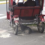 090207_037_DrivingIquitos