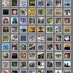 April's Fool Explore