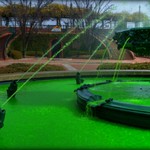 Happy ST.Patrick's Day..