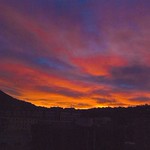 Sweet awakening ...................