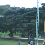 Buenos Aires, parque