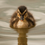 Ducking out for a while ...