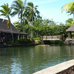 Rainbows of Paradise Canoe Pageant