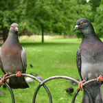 'So, as I said to her last week'