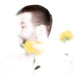 chrysanthemum intoxication