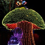 Disneyland Aug 2009 - Disney's Electrical Parade