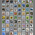 Explore Shots - 1 of 2