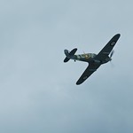 Spitfire