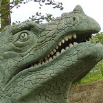 Dinosaurs and Other Animals 066