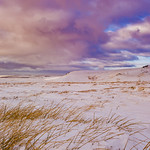 We Share The Same Skies