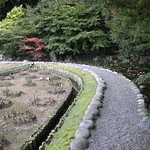 yellow brick road to the emerald city