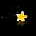 Happy Birthday Anitha !