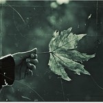 take care.:｡✿*ﾟ*ﾟ